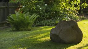 Nowa Maja w ogrodzie: Kamienie w ogrodzie?